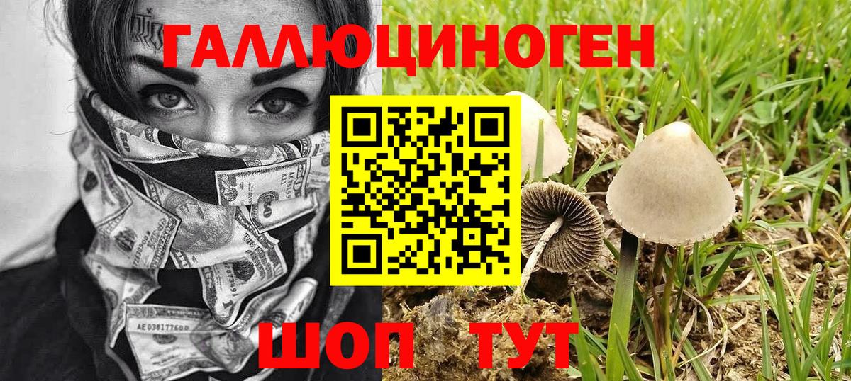Галлюциногенные грибы мухоморы Дзержинский